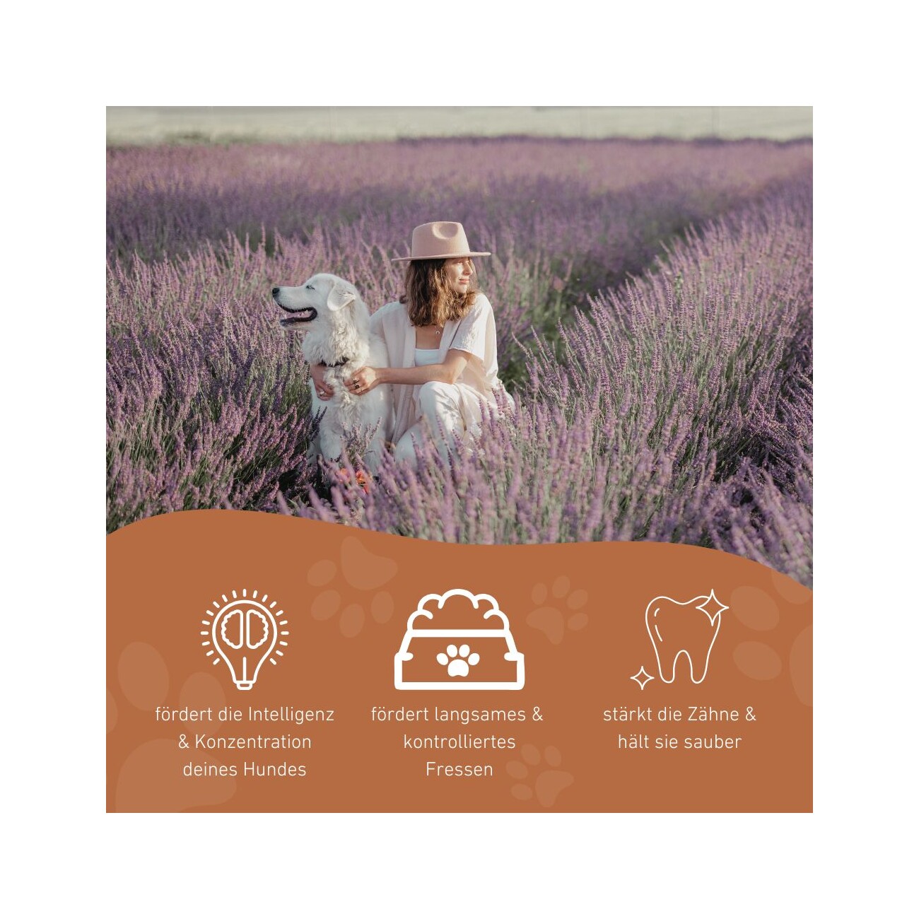 Wildfang Naturkautschuk Hundespielzeug - Kürbislabyrinth Lilo
