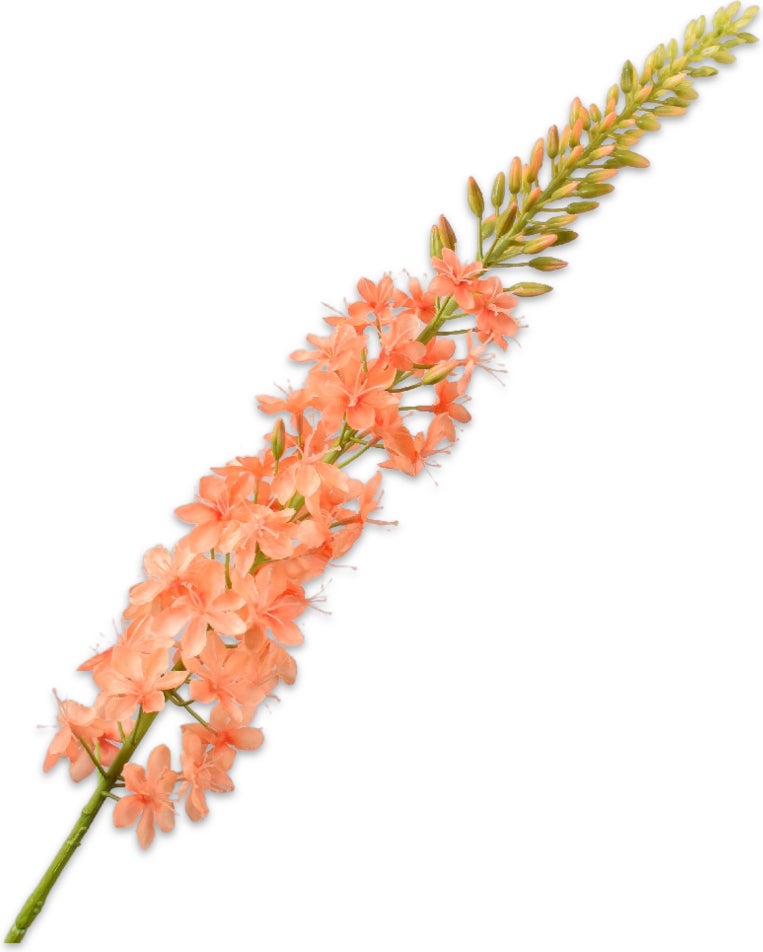 Silk-Ka kunstbloem Naald van Cleopatra oranje 107 cm