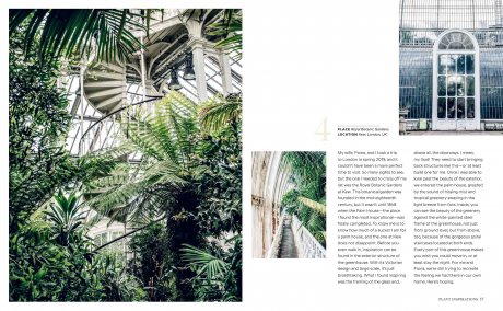 Wild Interiors: Beautiful Plants in Beautiful Spaces (Hardback)