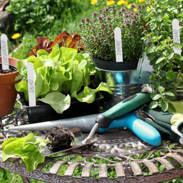 Planteetiketter i sett med 500 stk