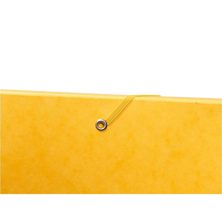Exacompta Karton-Archivbox mit Gummizug