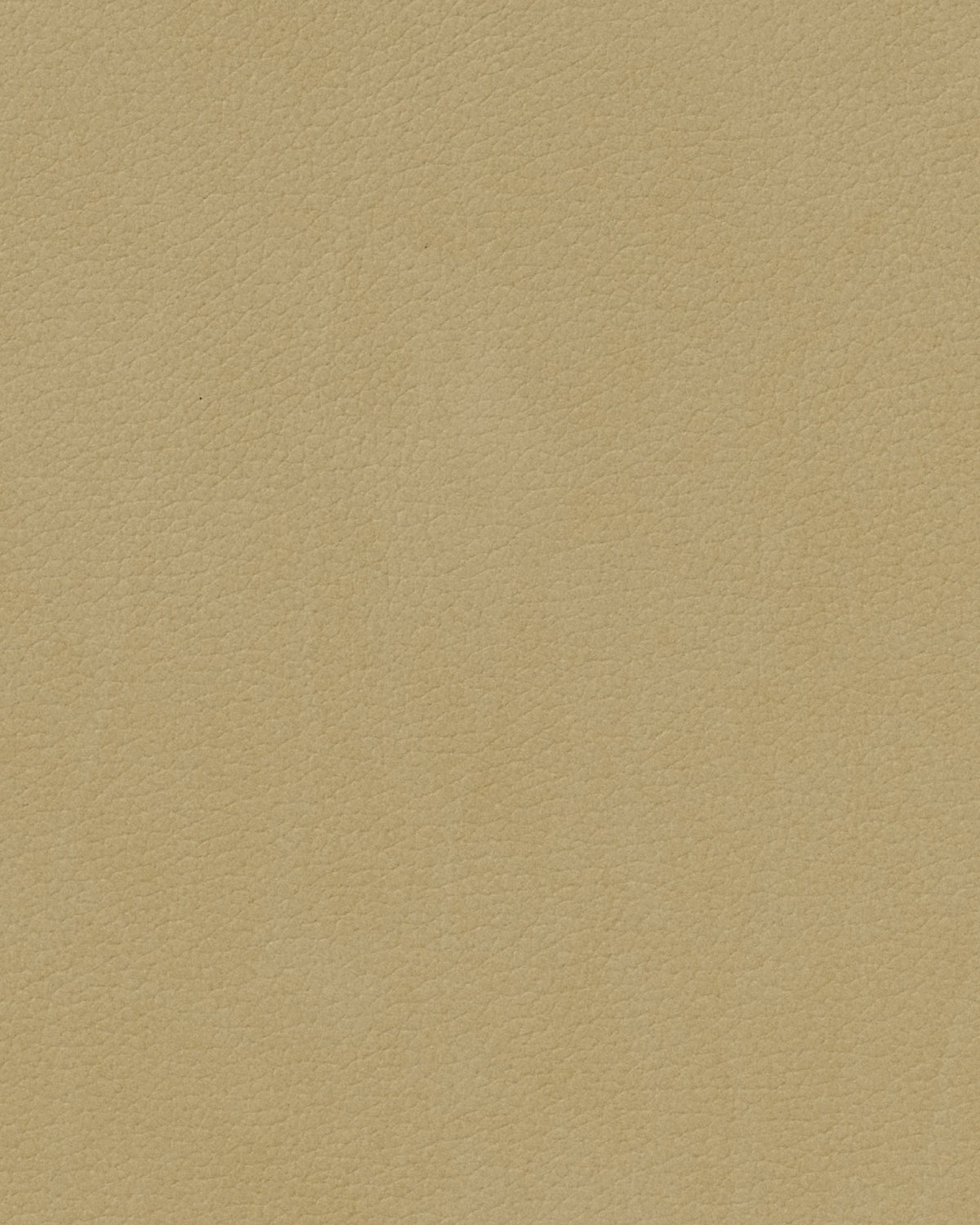 LIND DNA Placemats Nupo - Leer - Khaki - 45 x 35 cm - 2 Stuks