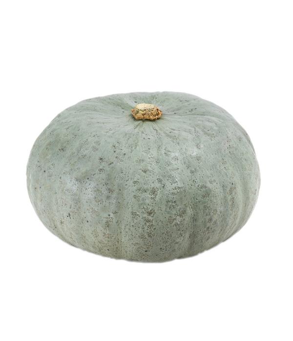 Kürbis 'Sweet Grey', ca. Ø15 cm