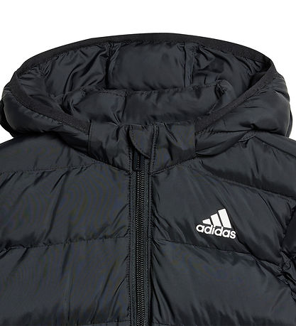 adidas Performance Steppjacke - Schwarz