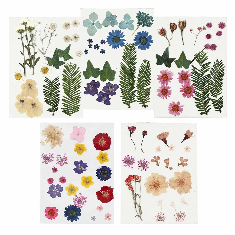 100 fleurs séchées et pressées multicolores