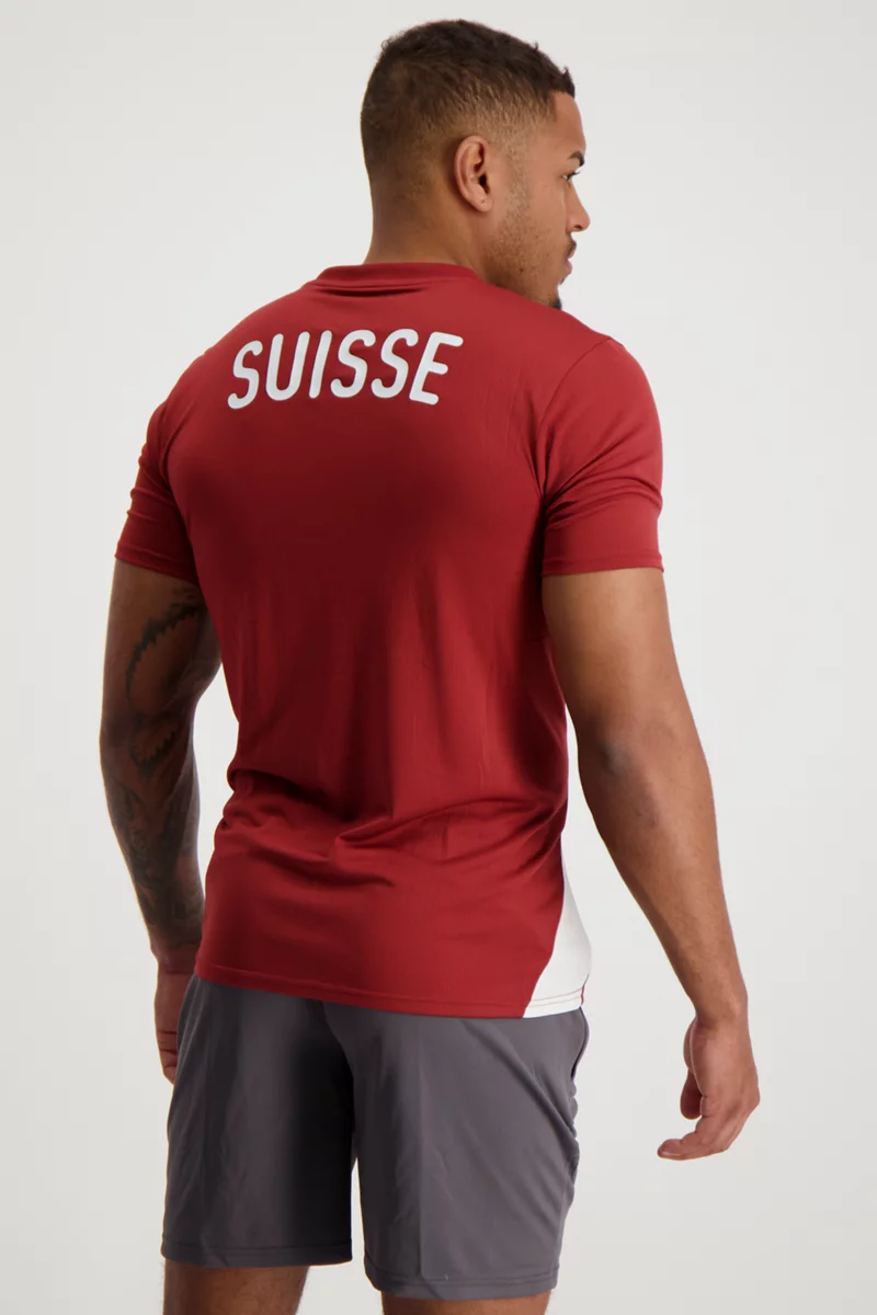 Puma Schweiz Prematch Herren T-Shirt