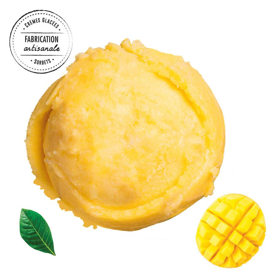 Sorbet Mangue Bio