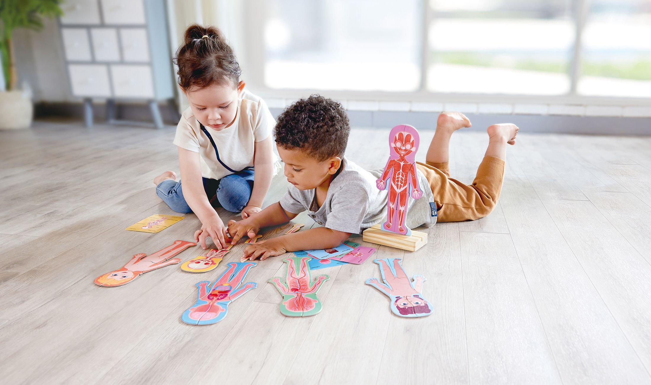 Hape Magnetisches Puzzle - Menschlicher Körper