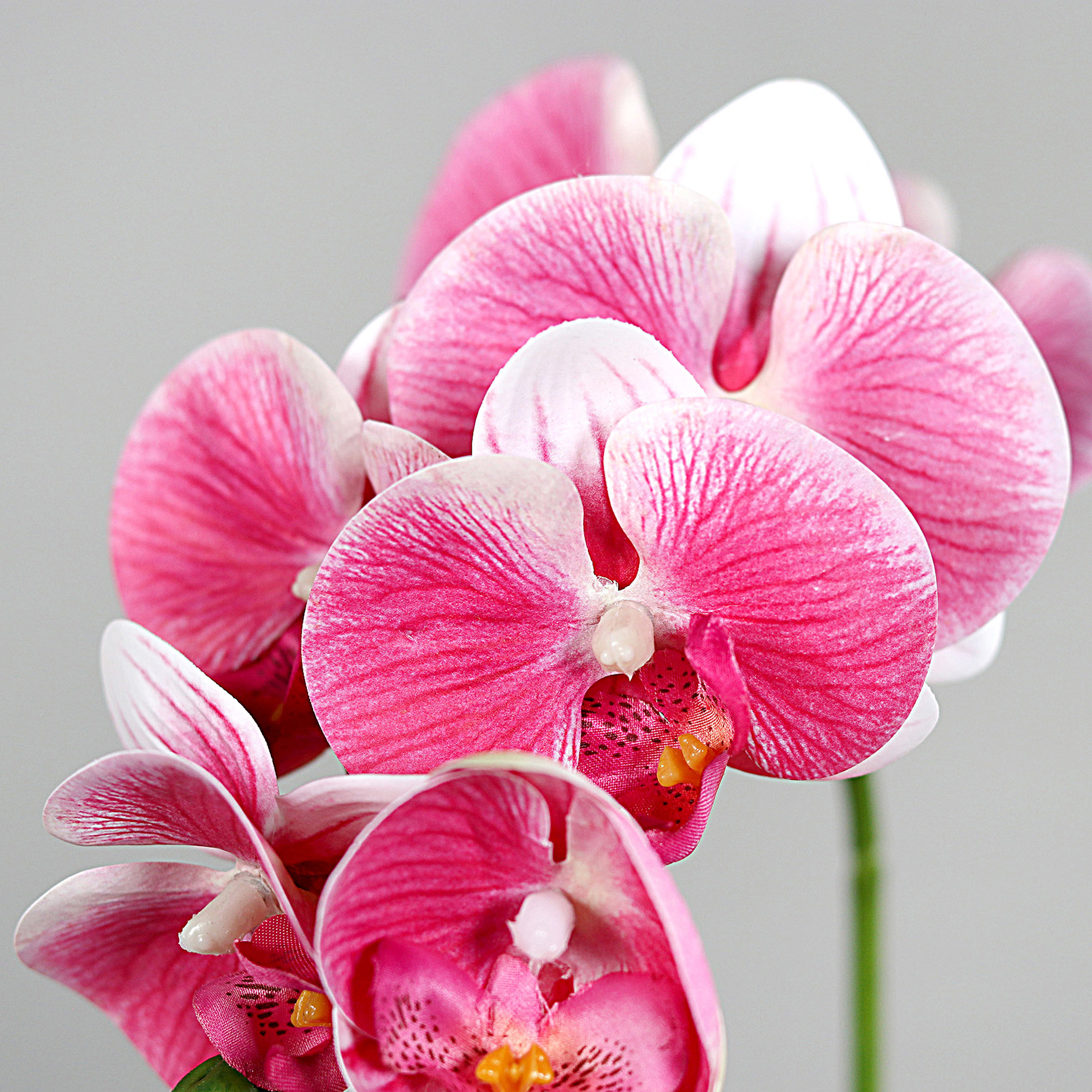 Orchidee im Topf - pink-creme - Kunstpflanze