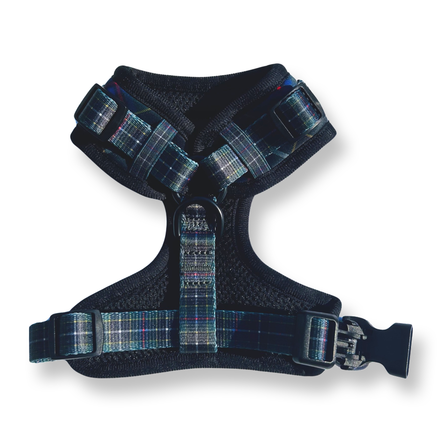 Arnês - Tartan de caça da Cornualha