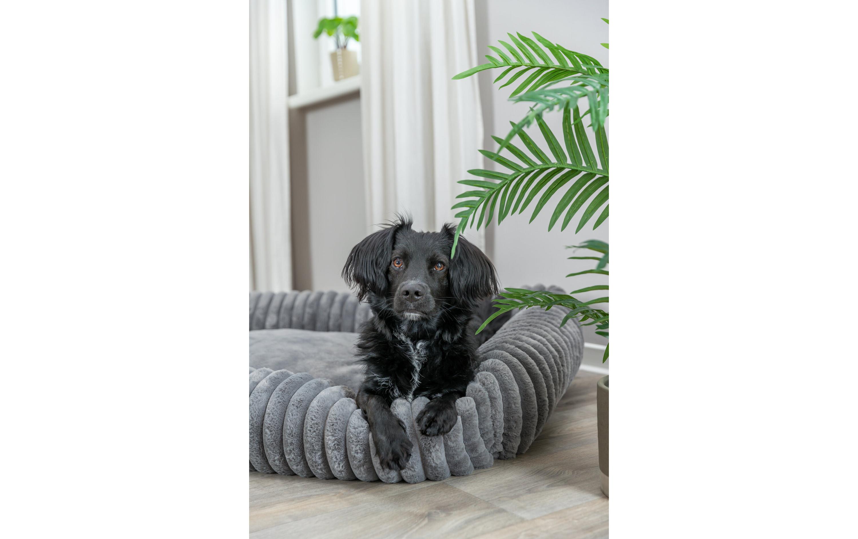 Hunde-Bett Lonni Grau, 65 cm x 50 cmHundeschlafplatz