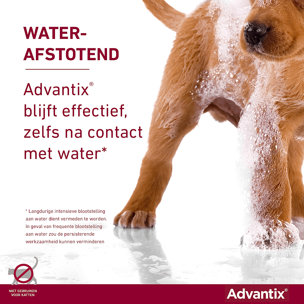 Advantix vlooienmiddel hond