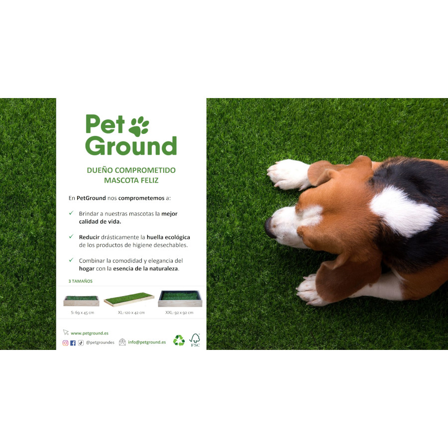 Petground, Cama para Gatos, Caixa de Madeira, Acessório, Mobiliário, Padrão