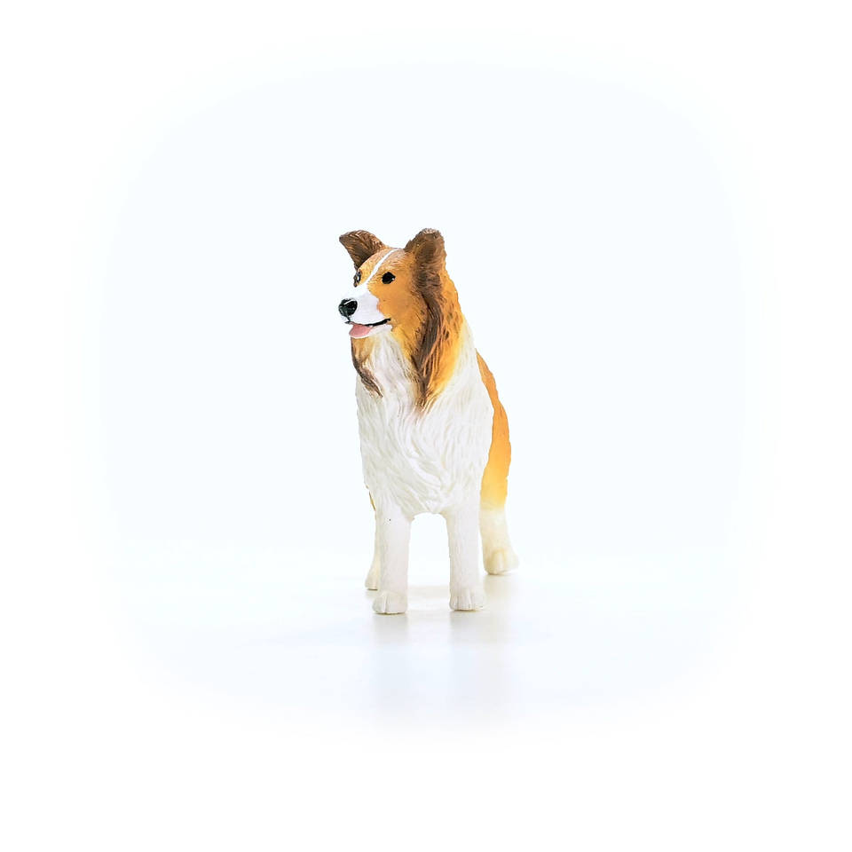 schleich FARM WORLD collie 13998