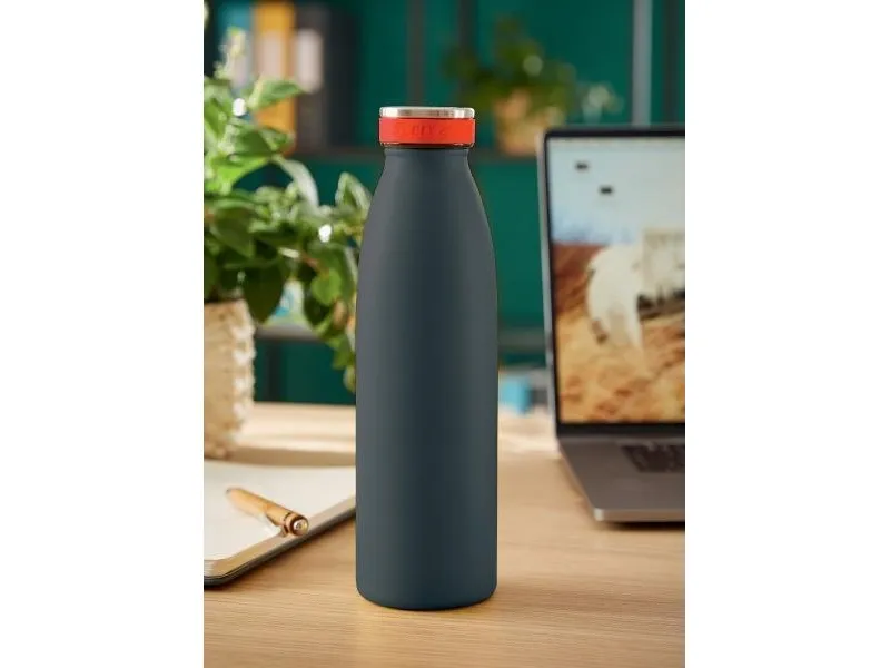 Drikkeflaske Leitz Cosy grå 500 ml