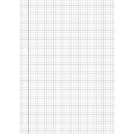 BRUNNEN Schulblock A4 50 Blatt, gelocht, Lineatur 28