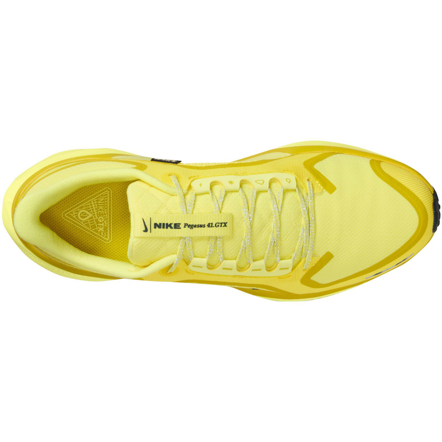 Nike Pegasus 41 GTX Heren