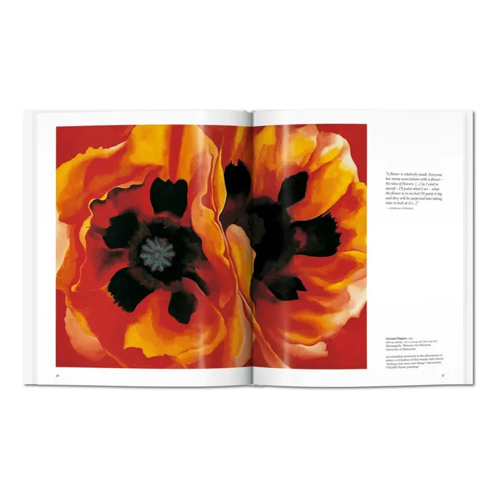 Taschen O'Keeffe