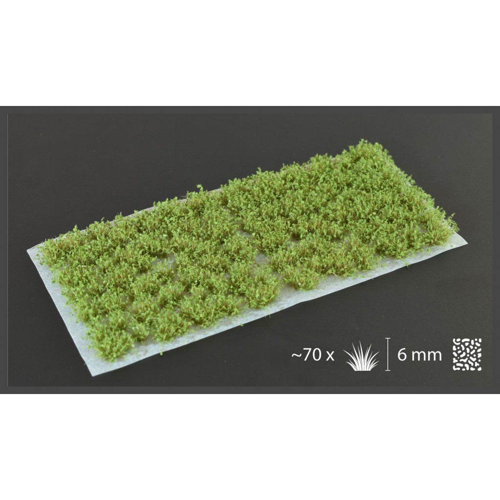 Dark Green Shrubs