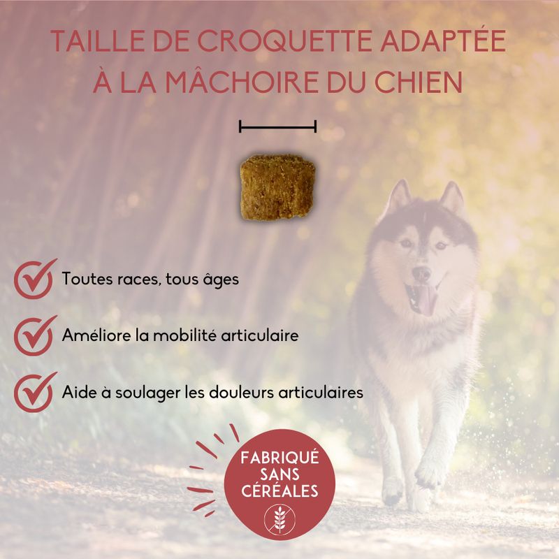 Friandises Nutrivet Inne, Articular Comfort