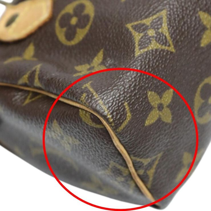 Louis Vuitton Vintage Louis Vuitton Speedy Brown