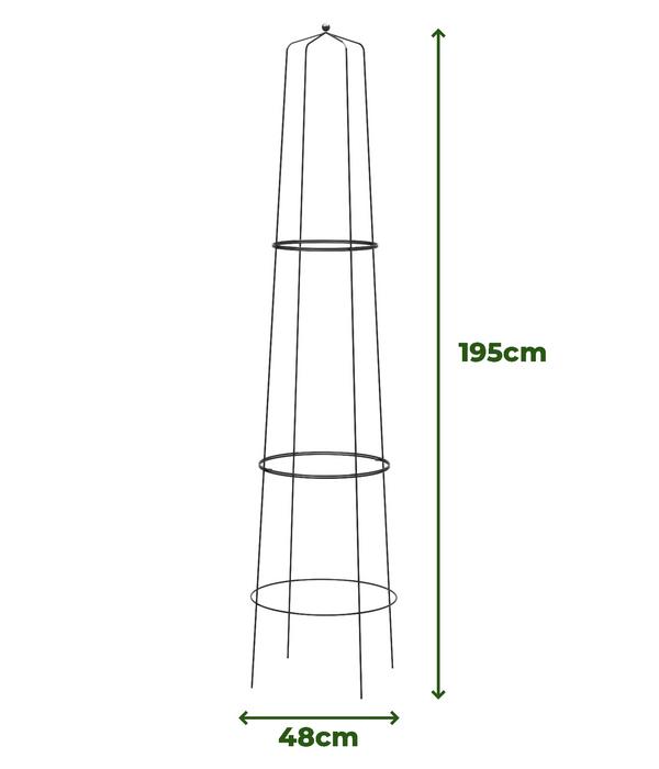 Dehner Obelisk Nova