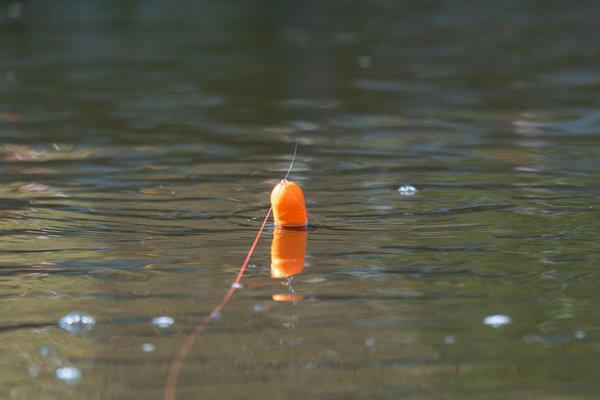 Flotteur carnassier Ultimate Predator Float Inline