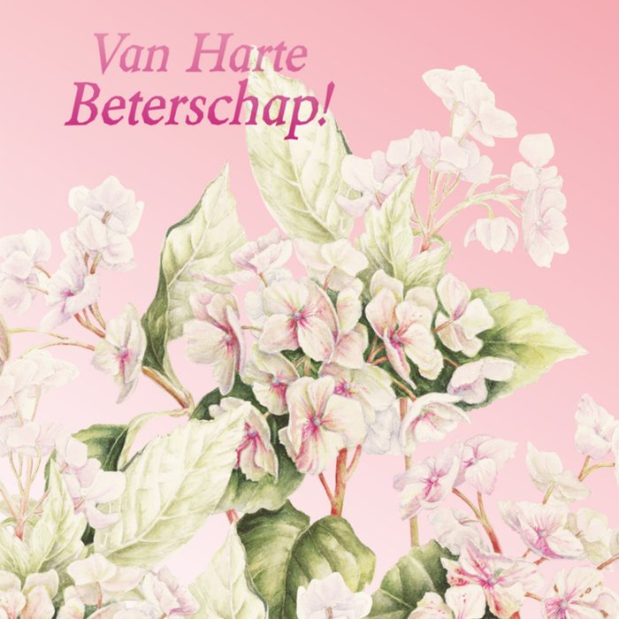 Janneke Brinkman | Beterschapskaart | Witte bloemen