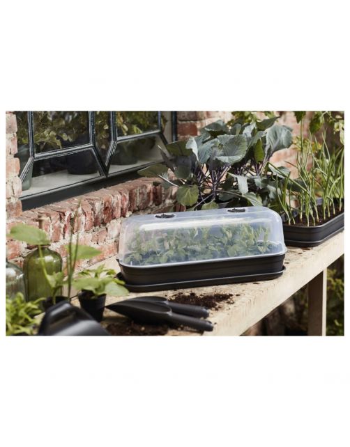 Elho Green Basics Kweektray Schotel Zwart - Kweekbenodigdheden