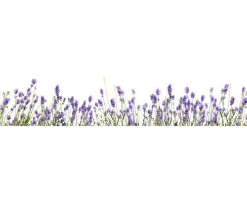 Keukenachterwand mySpotti Splash Lilou Lavender 2800 x 600 mm SP-F2-1815
