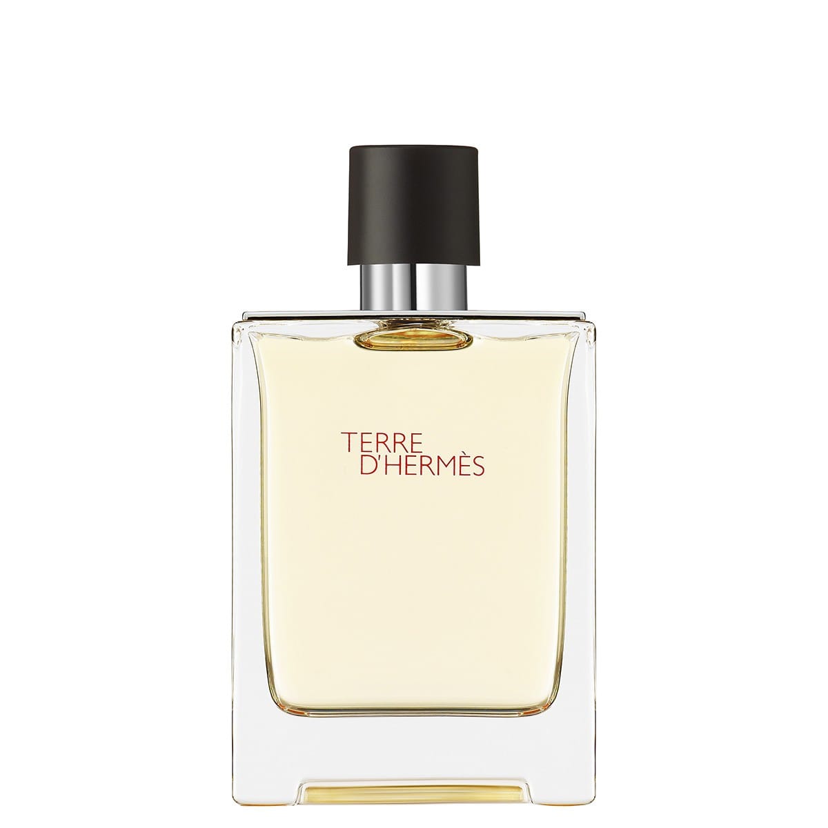 HERMÈS Terre d'Hermès Eau de Toilette