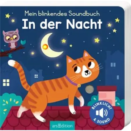 ars Edition Mein blinkendes Soundbuch - In der Nacht