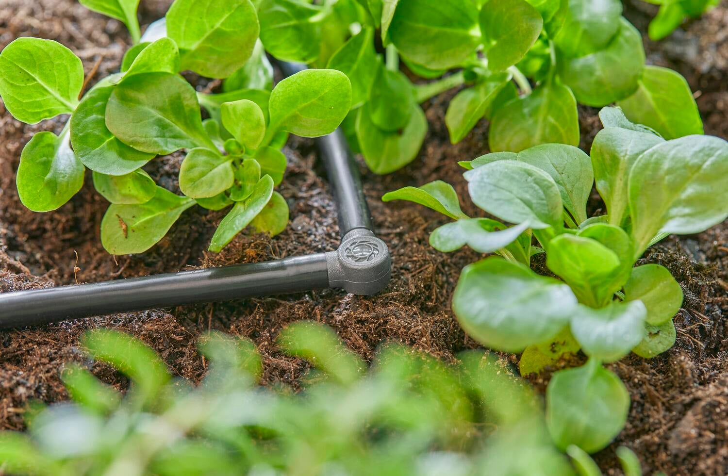 Gardena Micro Drip systeem L-stuk 4,6 mm (3/16 inch)