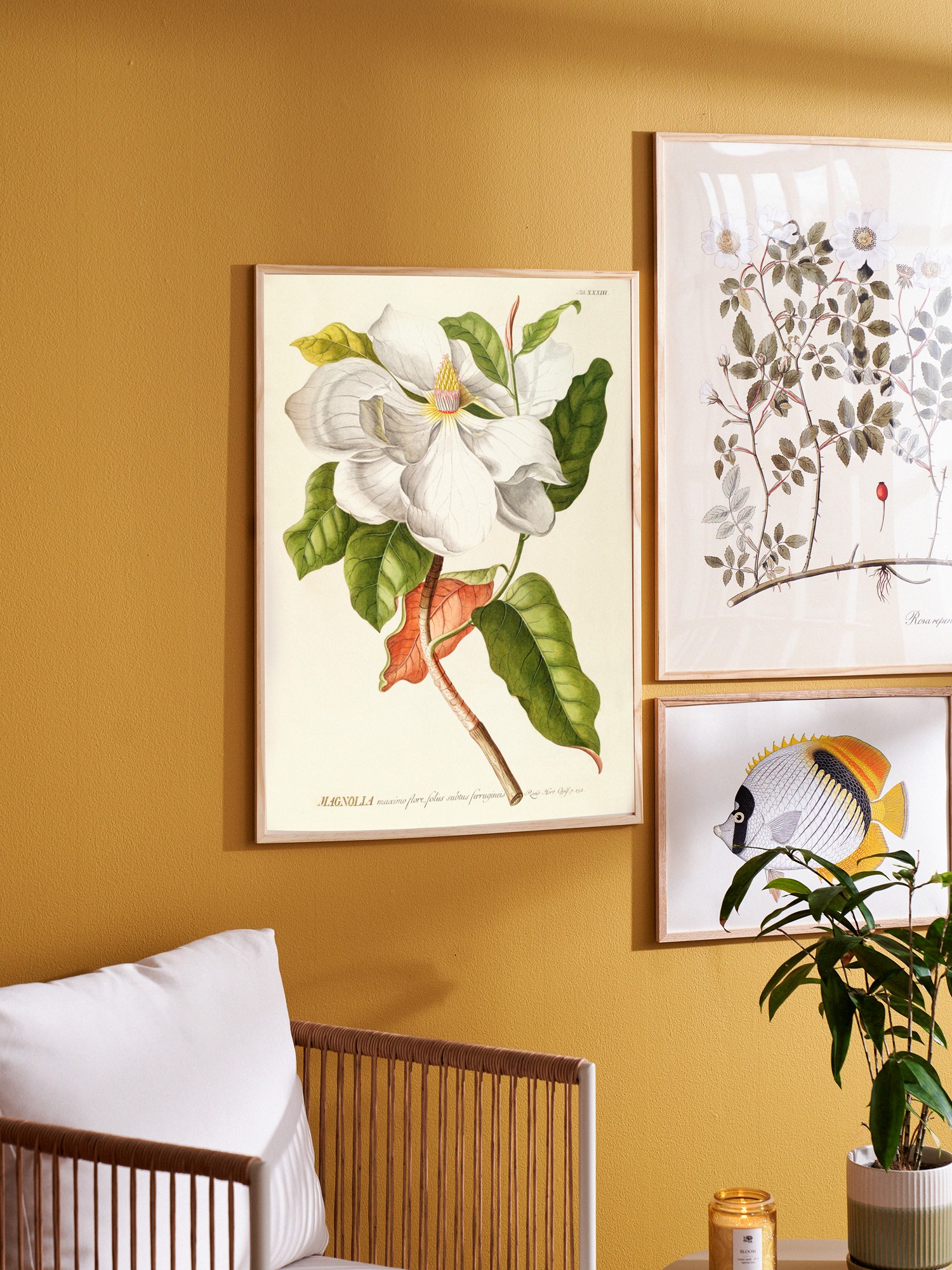 Plakat 50 x 70 | Papir. | Multi | The Dybdahl Co.