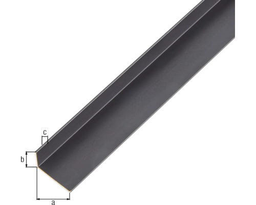 Aluminium hoekprofiel, zwart geanodiseerd, 20x10x1 mm, 2 m