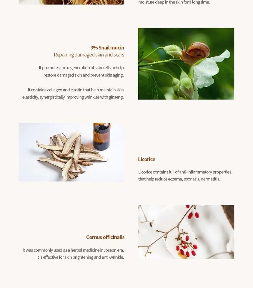 Schoonheid van Joseon - Revive Serum Jumbo