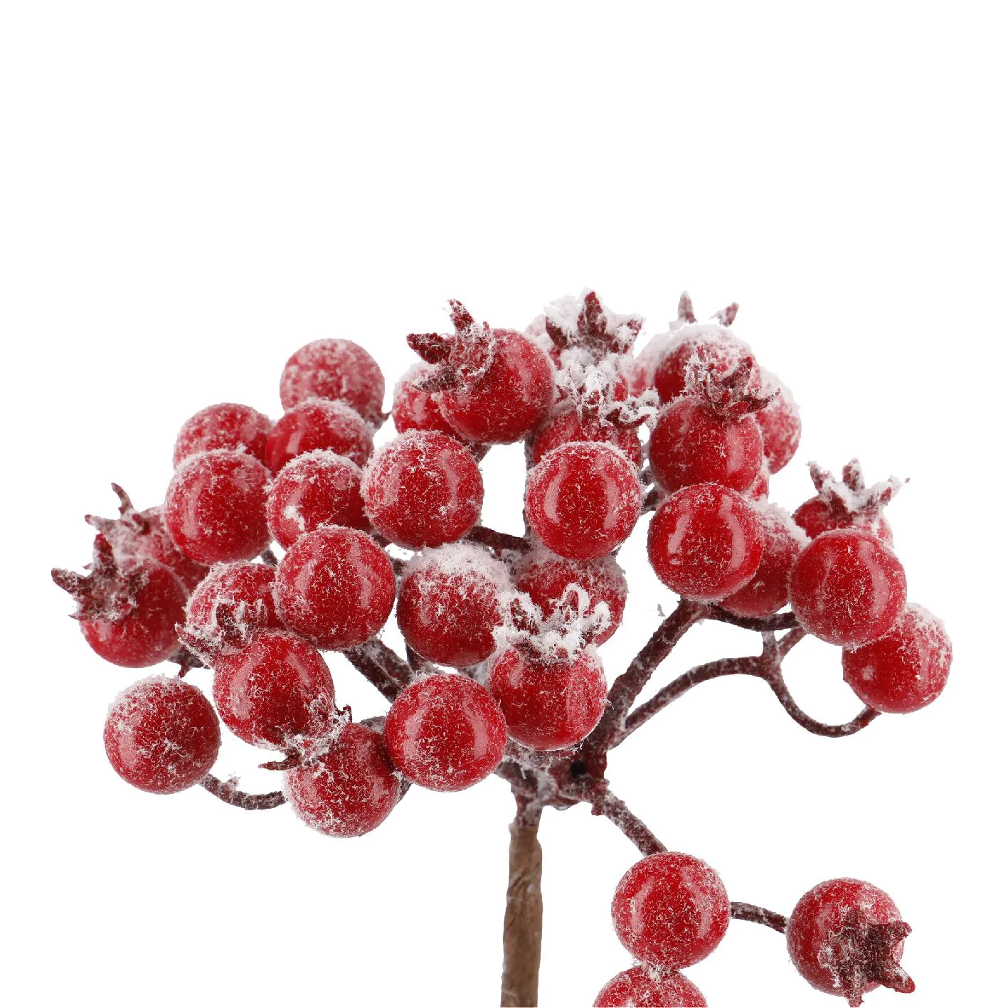 Beeren-Bündel, rot