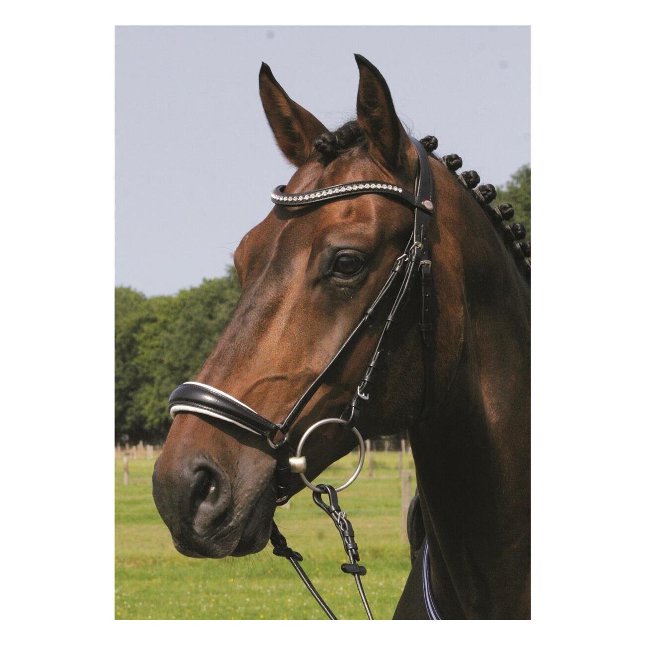 Hans Melzer Horse Equipment Hans Melzer Trense Valluhn schwarz/silber hannoversches Reithalfter weiß unterlegt WB EXTRA (KB-Kaltblut)