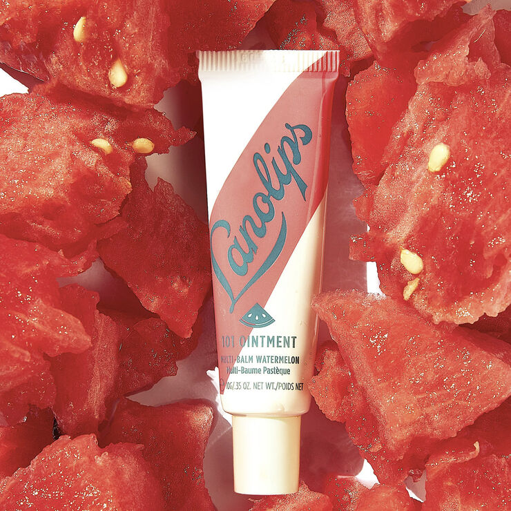 Lanolips 101 OINTMENT MULTIBALM WATERMELON