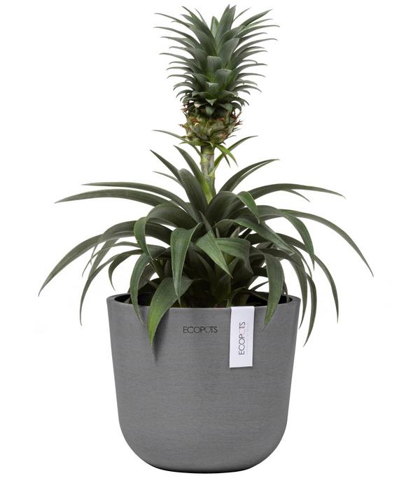 Ecopots Kunststoff-Topf Oslo Mini, rund