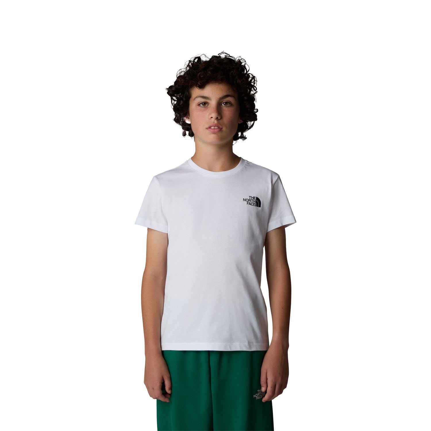 The North Face  Box NSE Tee