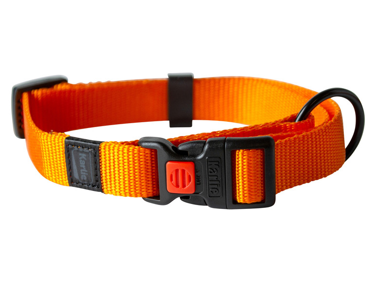 Halsband met lijn