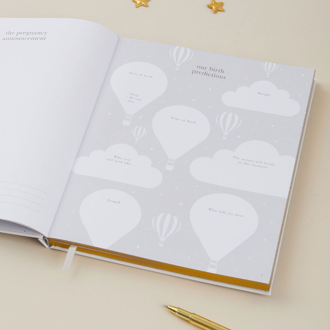 Blush and gold my pregnancy journal - white