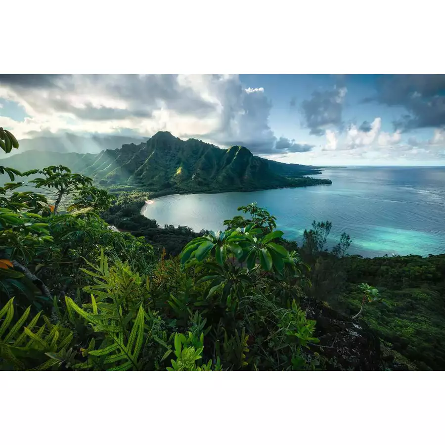 Ravensburger Atemberaubendes Hawaii bunt