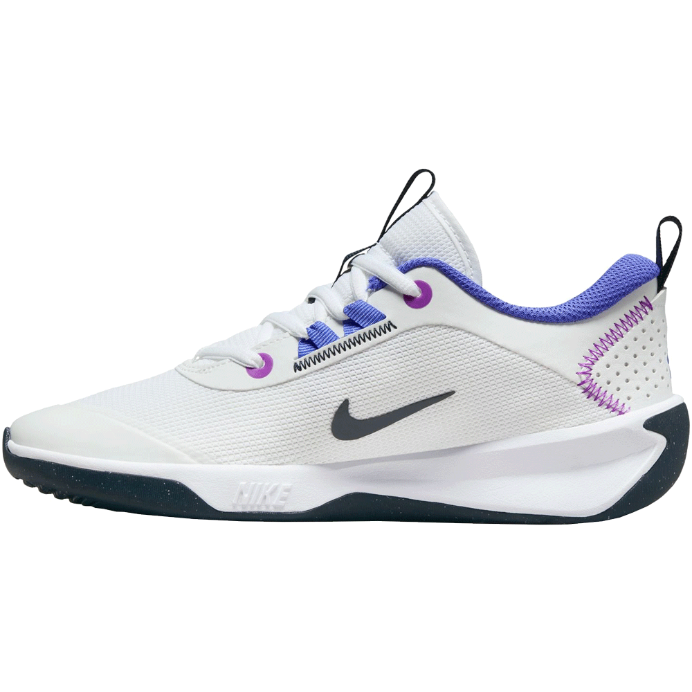 Nike Omni Multi Court Hallenschuhe Kinder white