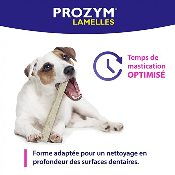 Prozym lamelles à mâcher - Lots économiques
