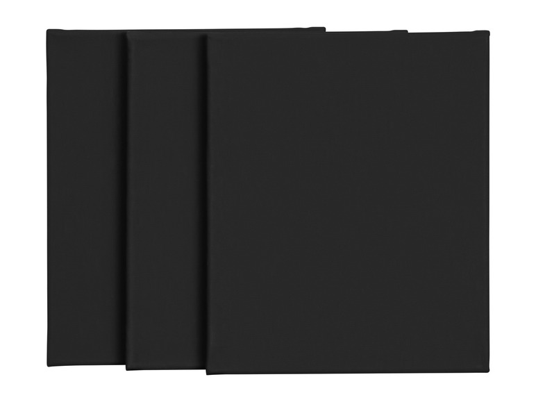 Canvas / canvasset