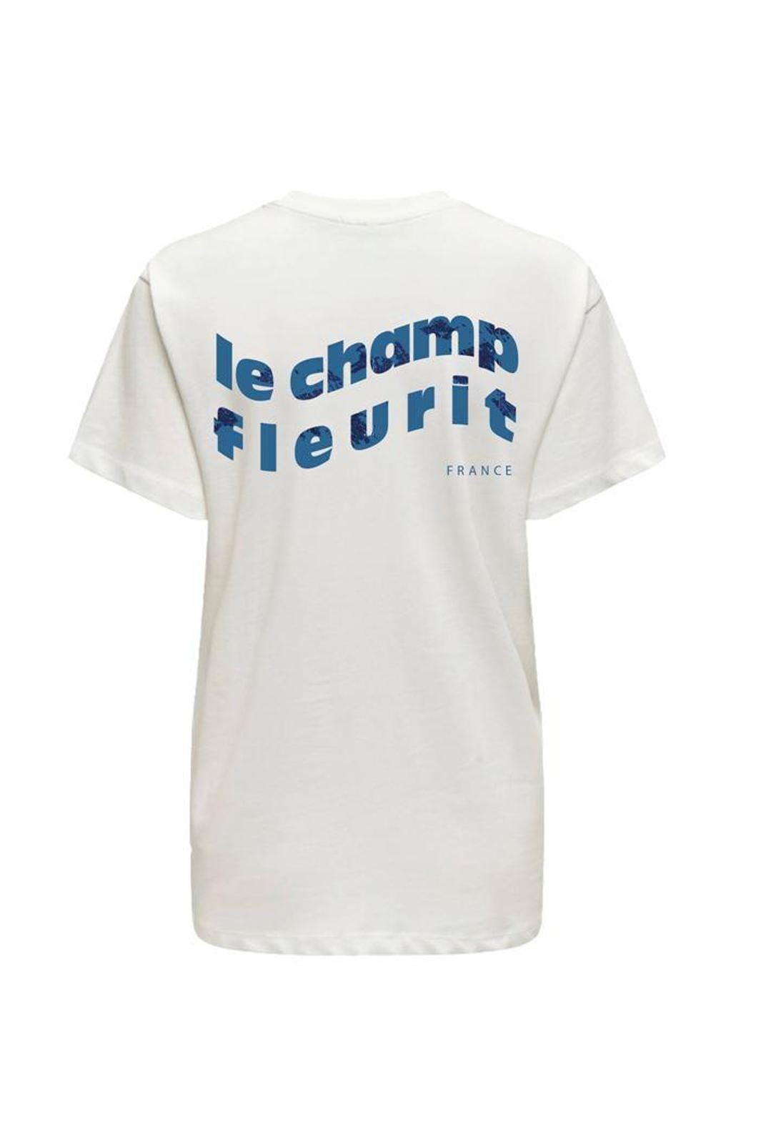Only Onllana Fleur Life S/S Tee 4720924 cloud dancer fleur
