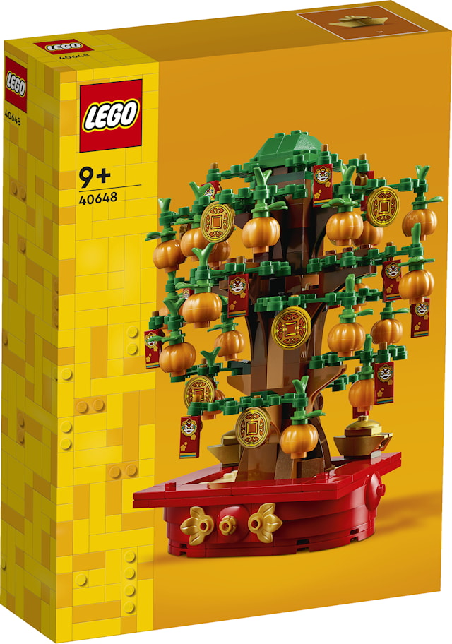 Pengetre LEGO® Iconic (40648)