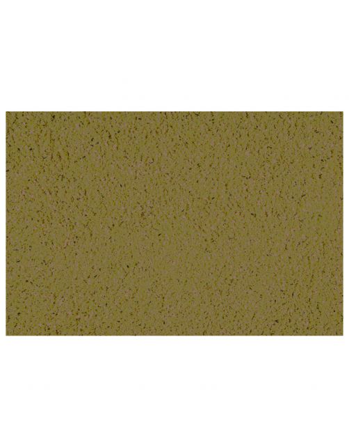 Versele-Laga Orlux Gold Patee Parkiet - Vogelvoer